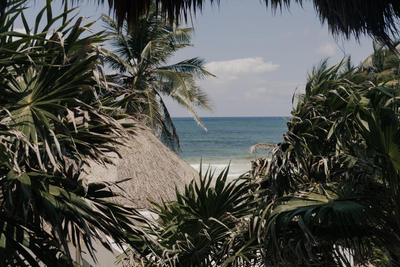 Tuup Tulum Hotell Exteriör bild